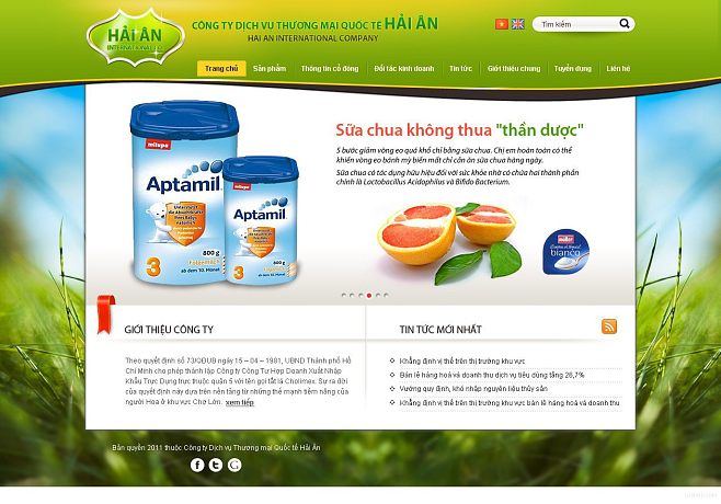 數據庫管理系統的網頁界面設計 用戶體驗與功能性的融合